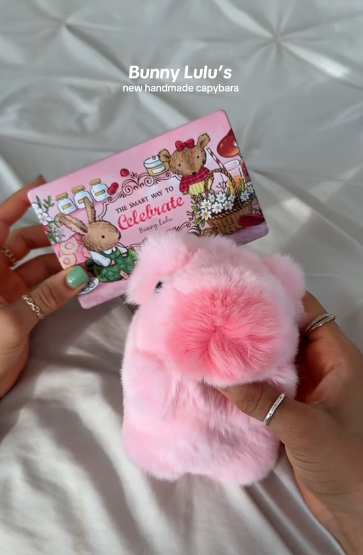BunnyLulu Pricing, Discounts, and Subscription Benefits
