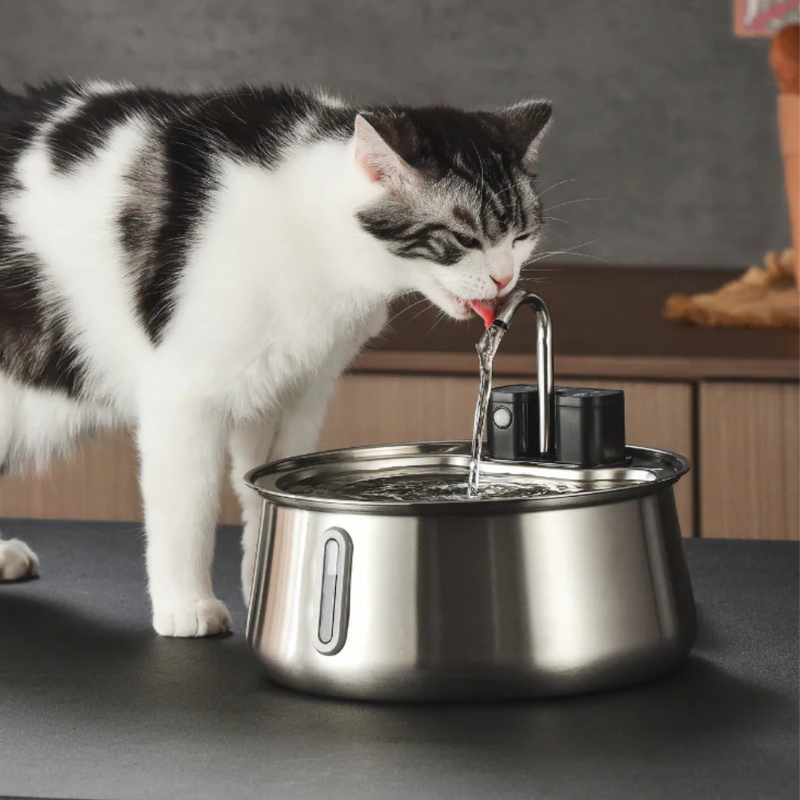 How to Use and Maintain Your Kitty Spout Fountain for Optimal Performance