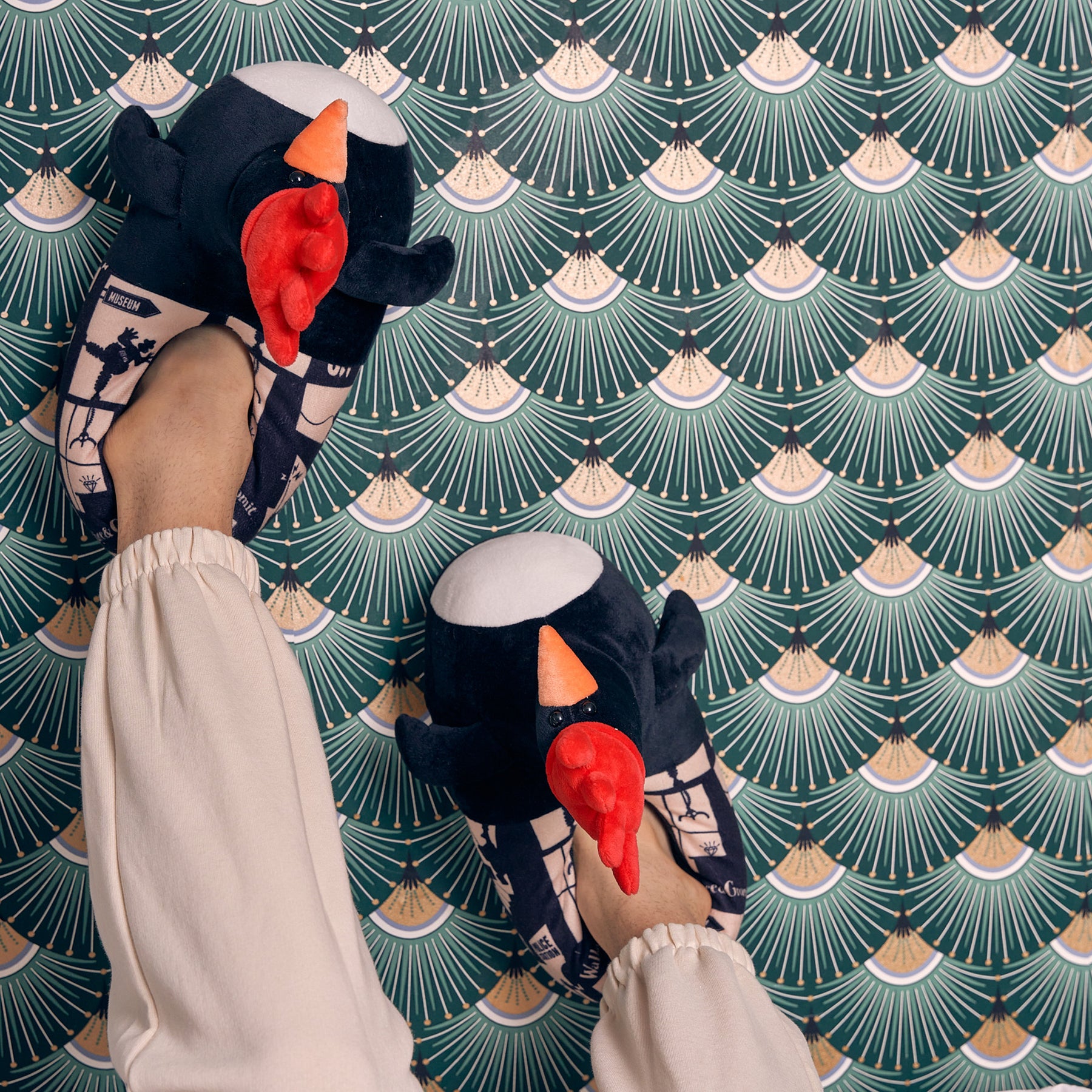 Pricing, Discounts, and Where to Buy Coddies Slippers