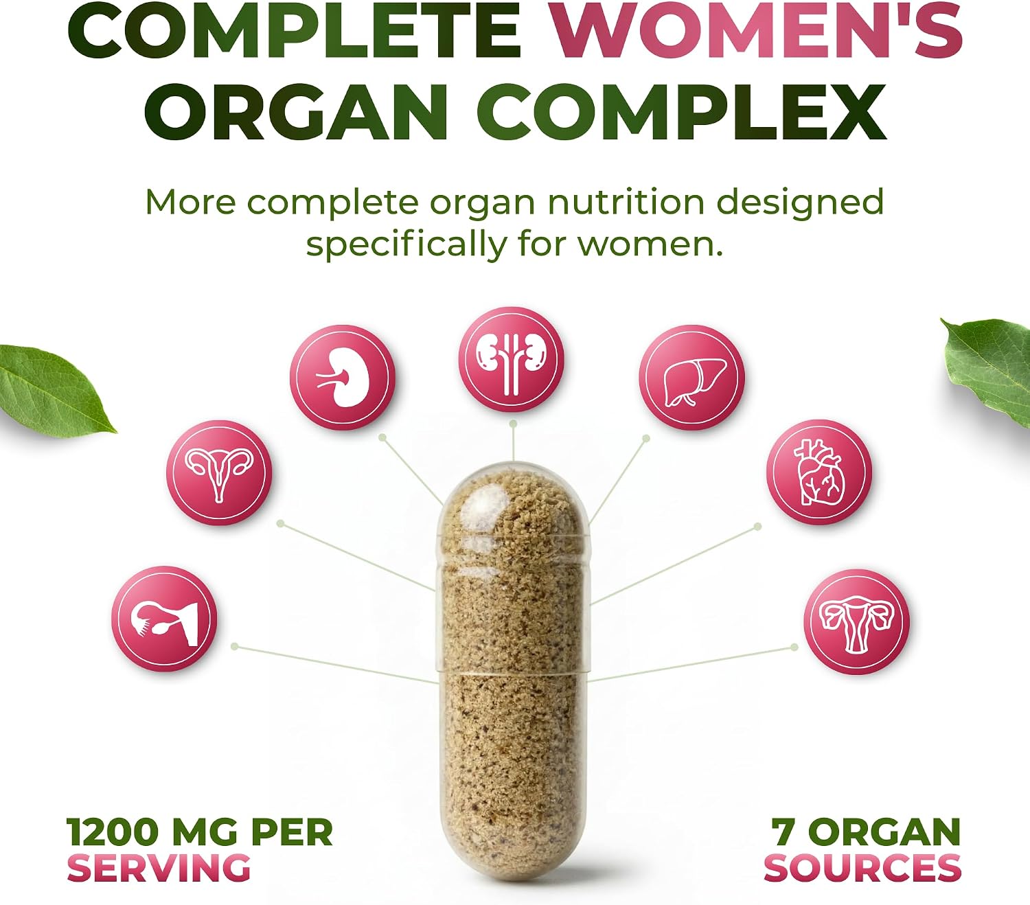 Detailed Look at ForestLeaf’s Top Supplement Categories