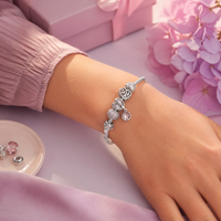 Key Features of the Planet Charms Collection