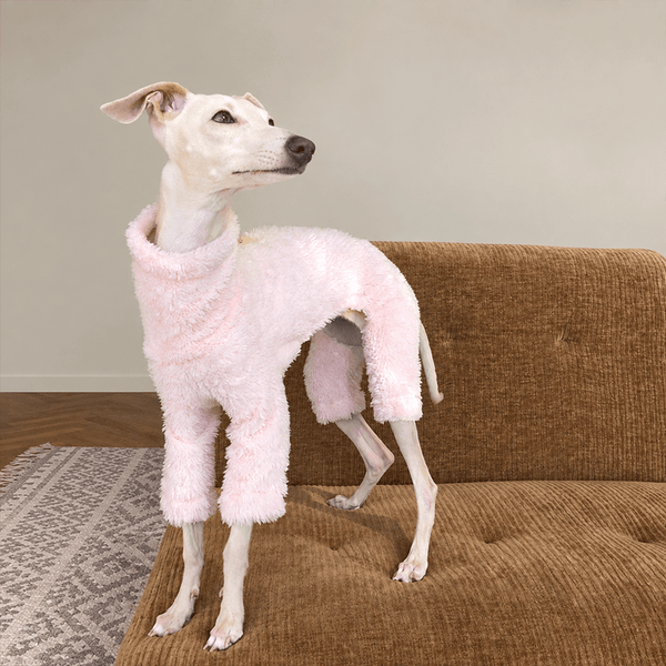 Pros and Cons of Choosing Pikapika for Your Pet’s Wardrobe